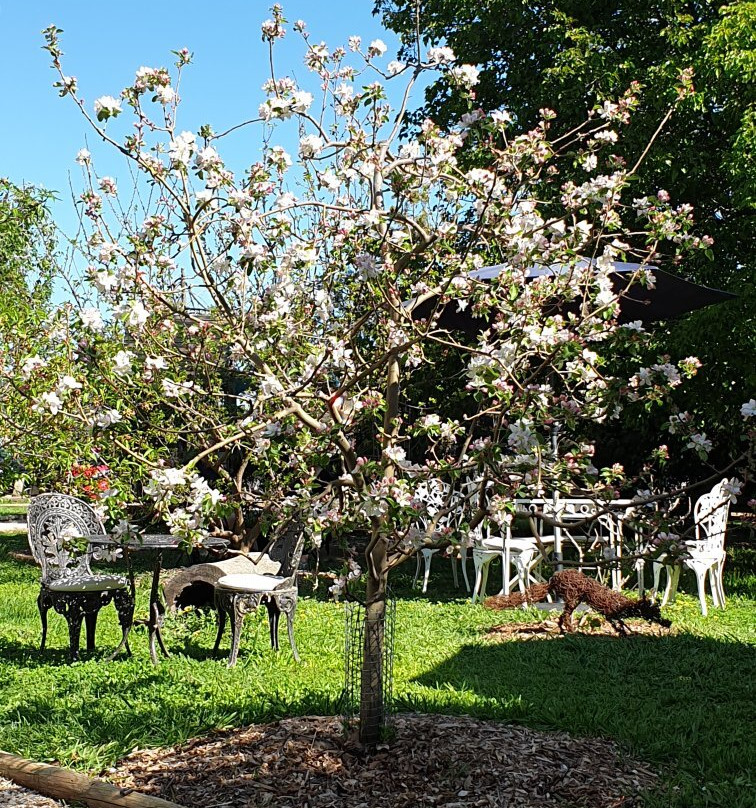 Slowfox Wines-马奇必去景点