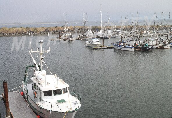 Charleston Marine Life Center-Charleston必去景点