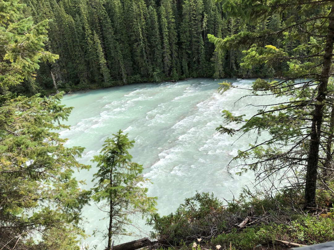 Wapta Falls-幽鹤国家公园必去景点