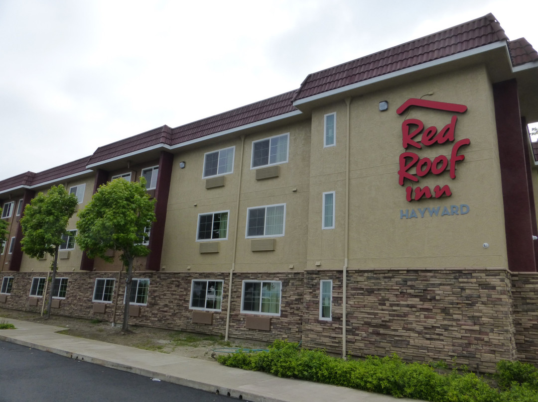 Red Roof Inn Hayward主图