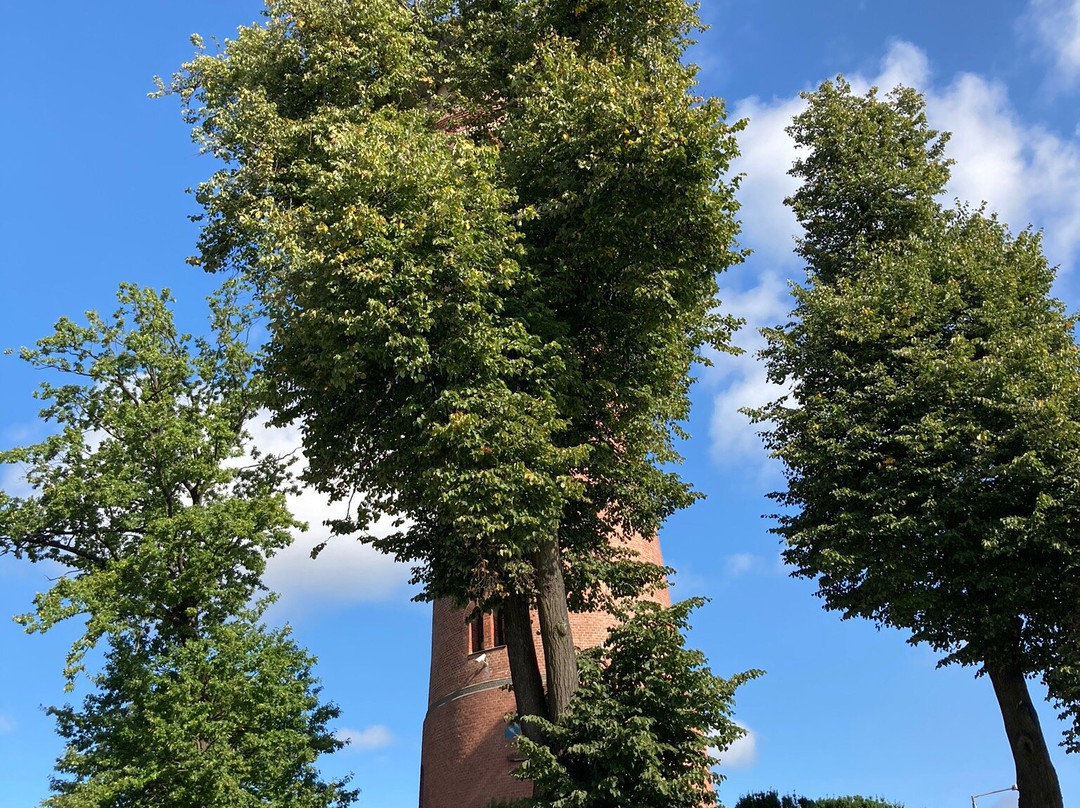 Gizycko Water Tower景点图片