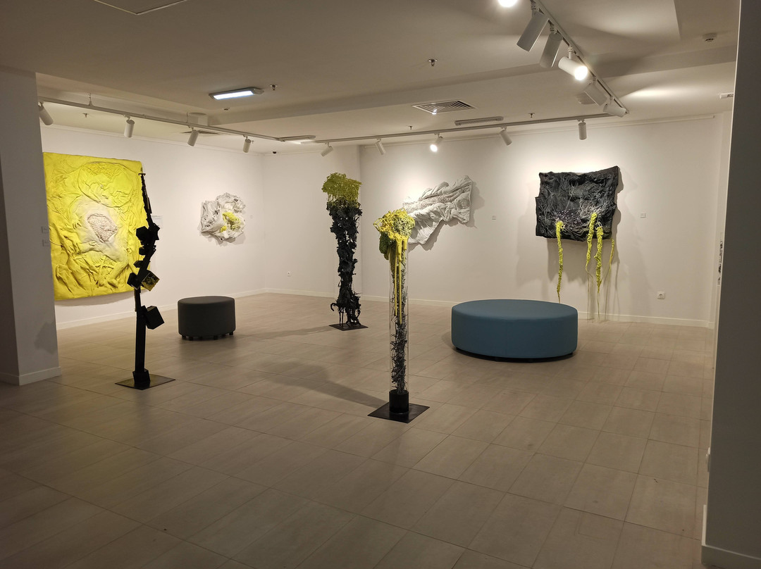 BIzon Gallery of Contemporary Art-喀山必去景点