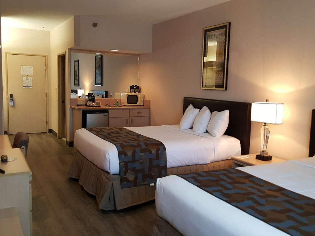 艾尔科希洛酒店主图