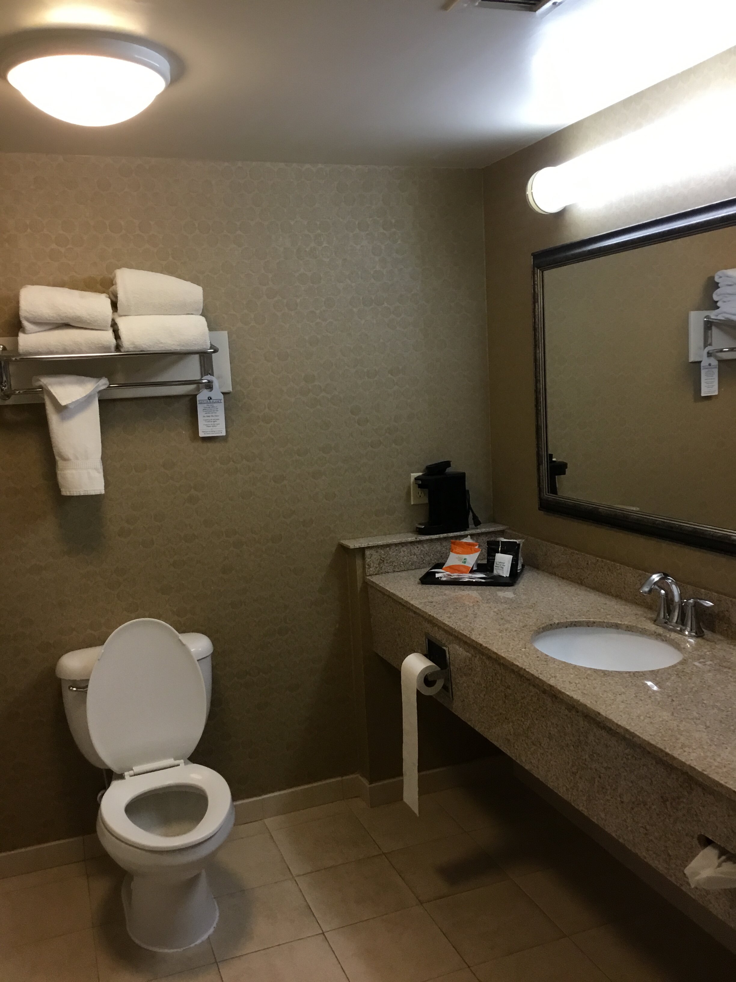 Comfort Inn Warner Robins - Robins Air Force Base Area-浴室