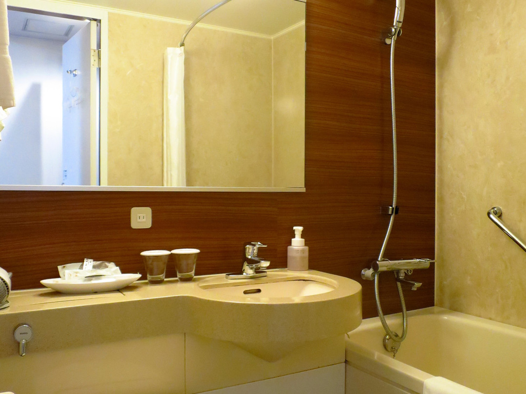 Richmond Hotel Miyazaki Ekimae主图