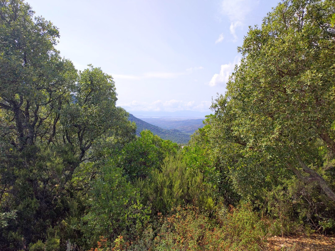 Parco Naturale Regionale dei Sette Fratelli-Burcei必去景点