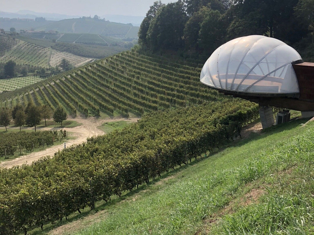 Ceretto Aziende Vitivinicole景点图片