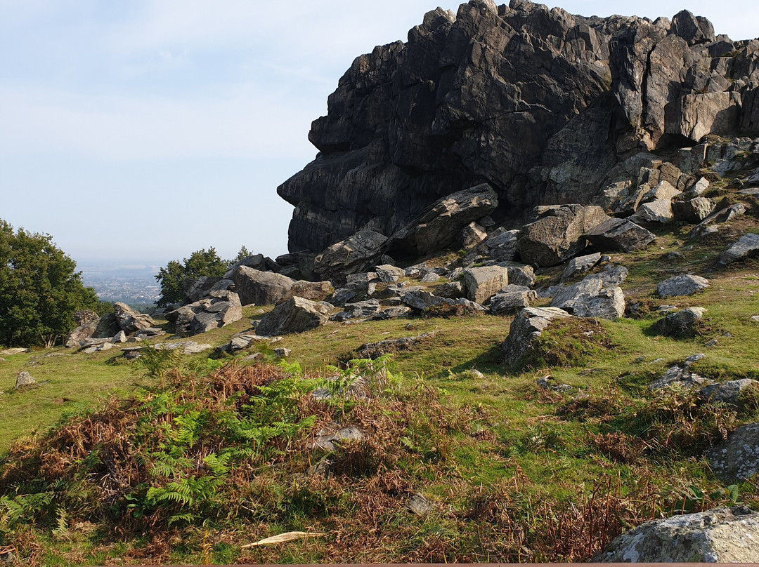 Beacon Hill Country Park景点图片