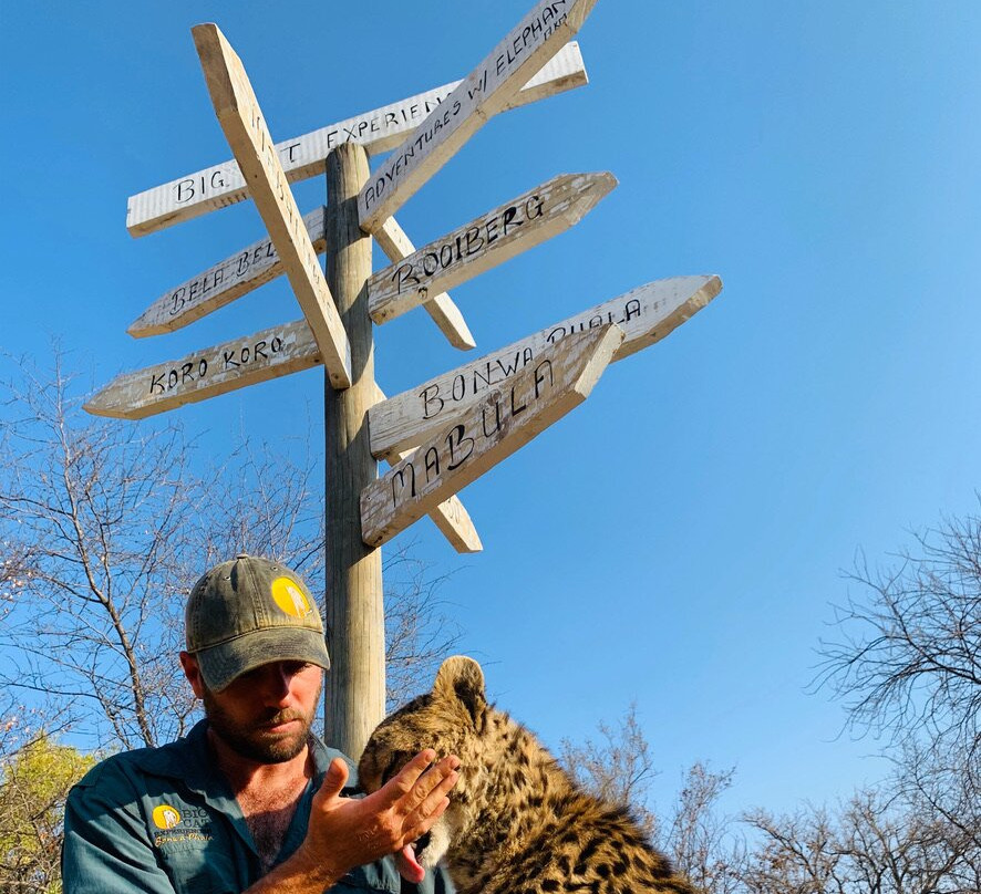 Big Cat Experiences景点图片