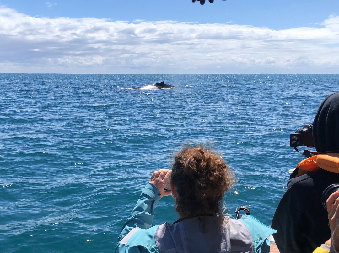 Maputo Blue-马布多必去景点