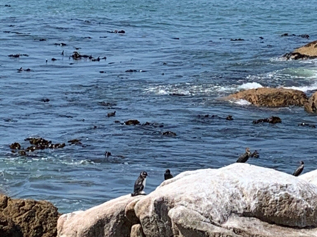 Stompneus Point Lighthouse景点图片