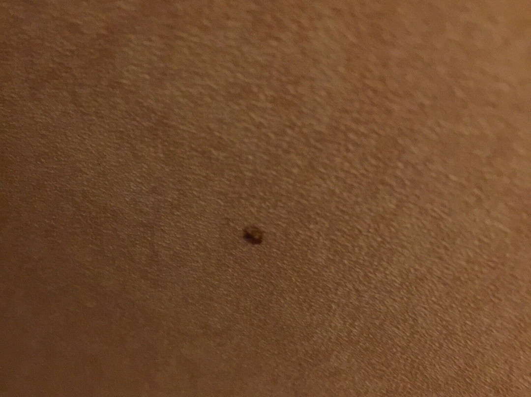 汉堡凯富套房酒店主图