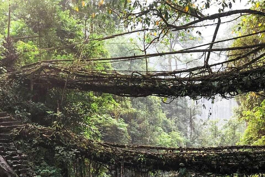 The 3 Wheeler Ride-甘托克必去景点