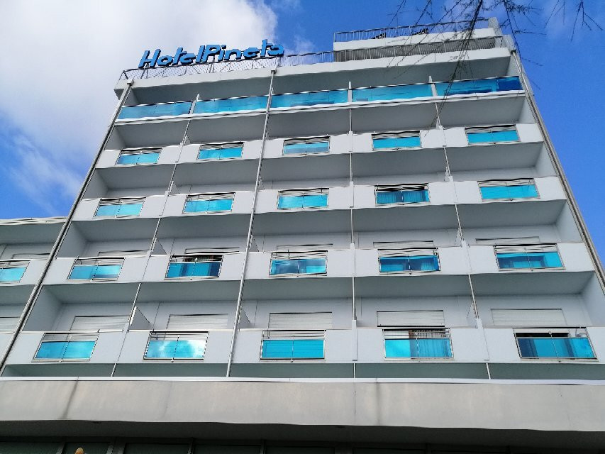 Hotel Pineta主图