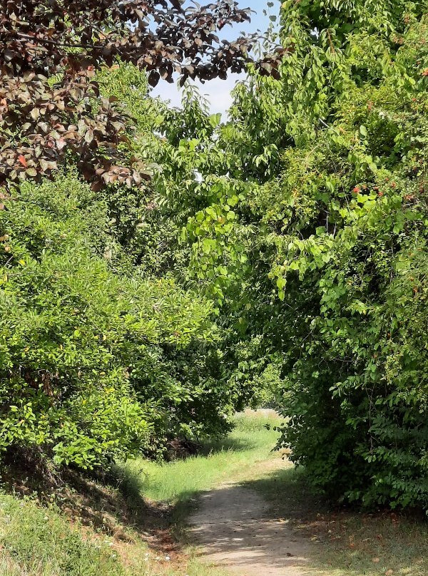 Parco Del San Pellegrino-博洛尼亚必去景点