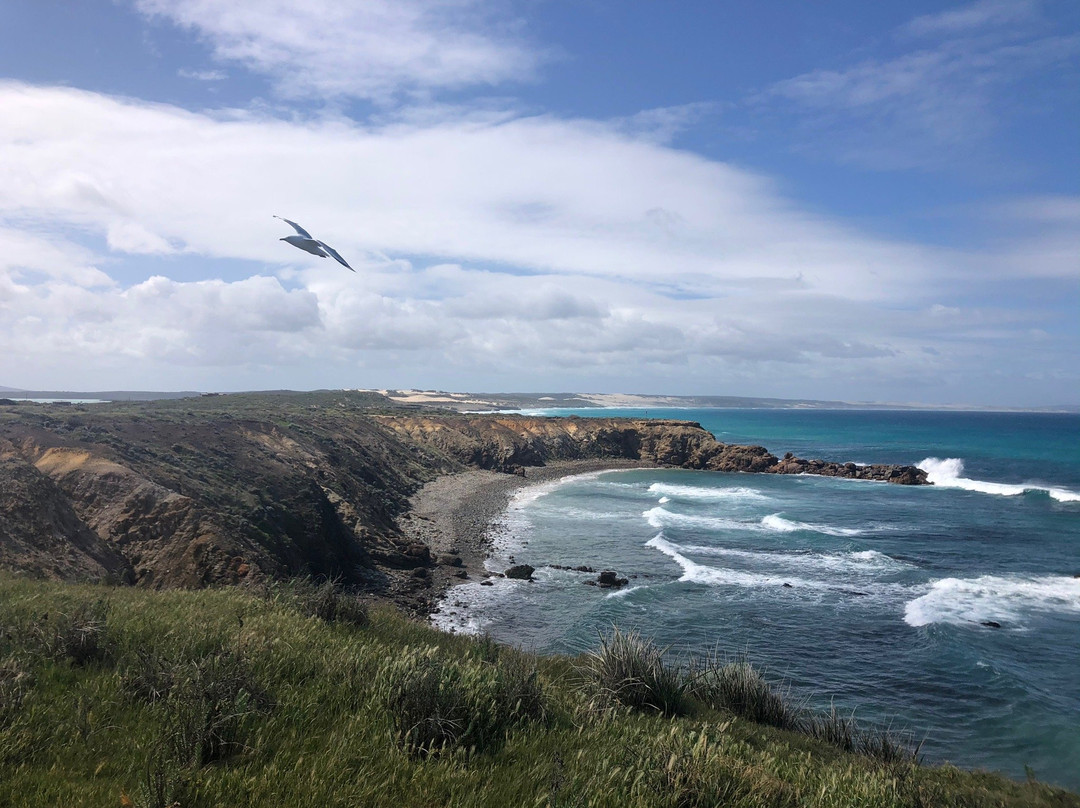 Sleaford Bay-Port Lincoln必去景点