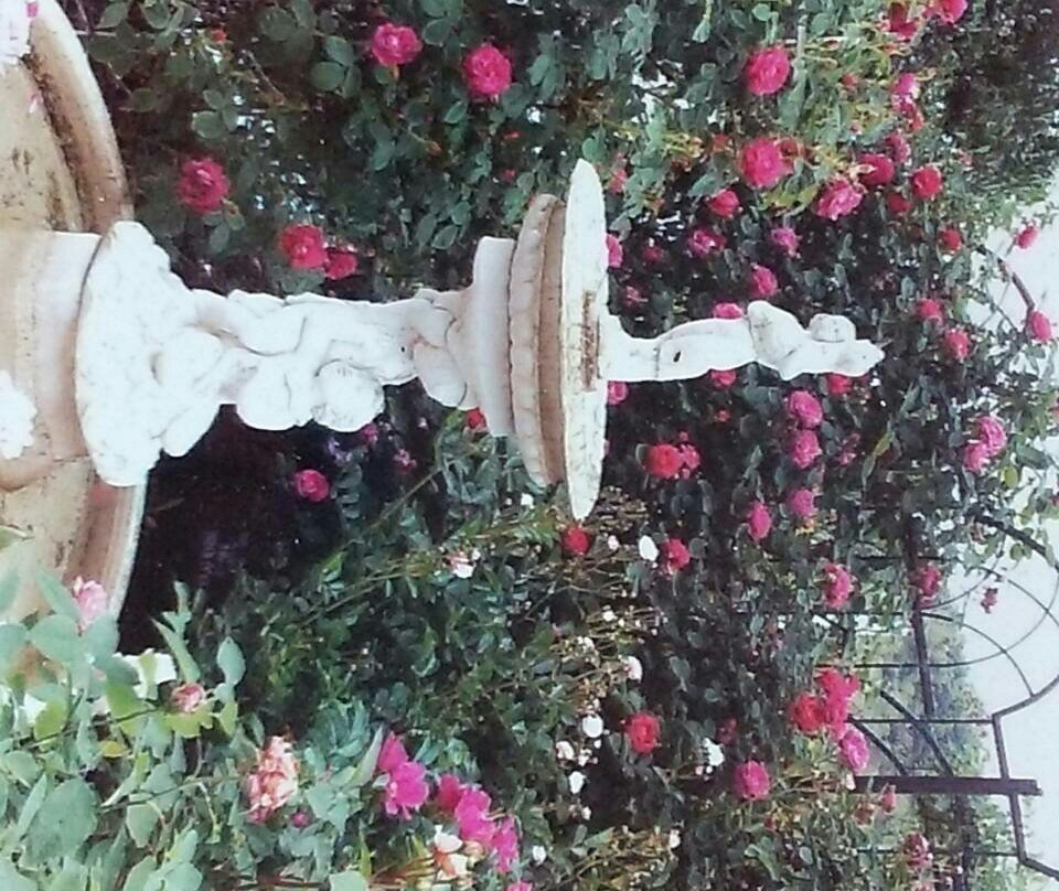Strawberry Ice Rose Garden-舞鹤市必去景点