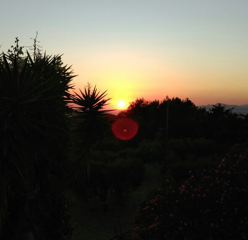 Montesole Holiday主图