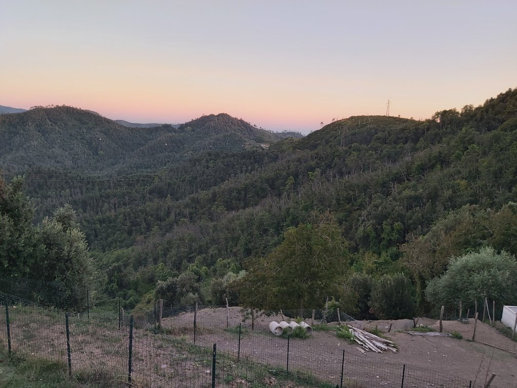 Agriturismo degli Olivi主图