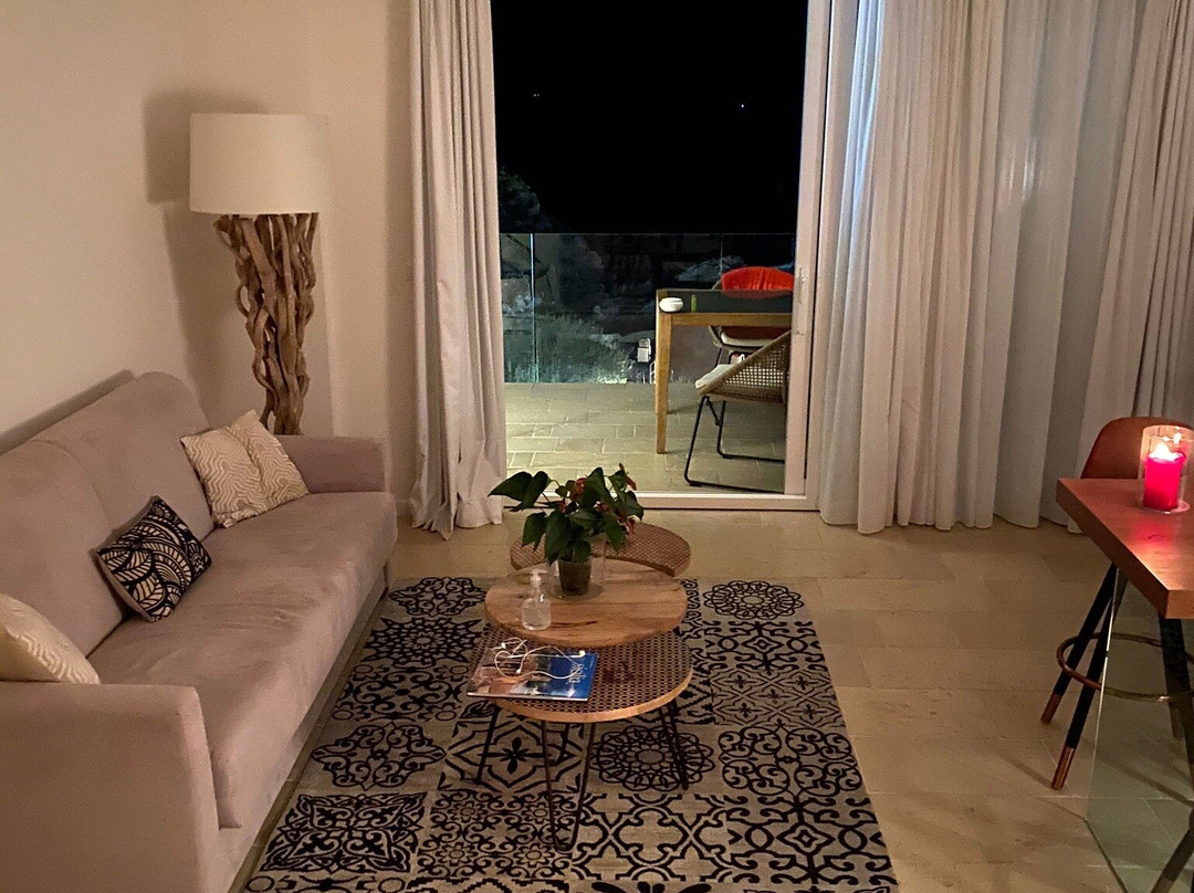 Iancu Charme Apartments主图