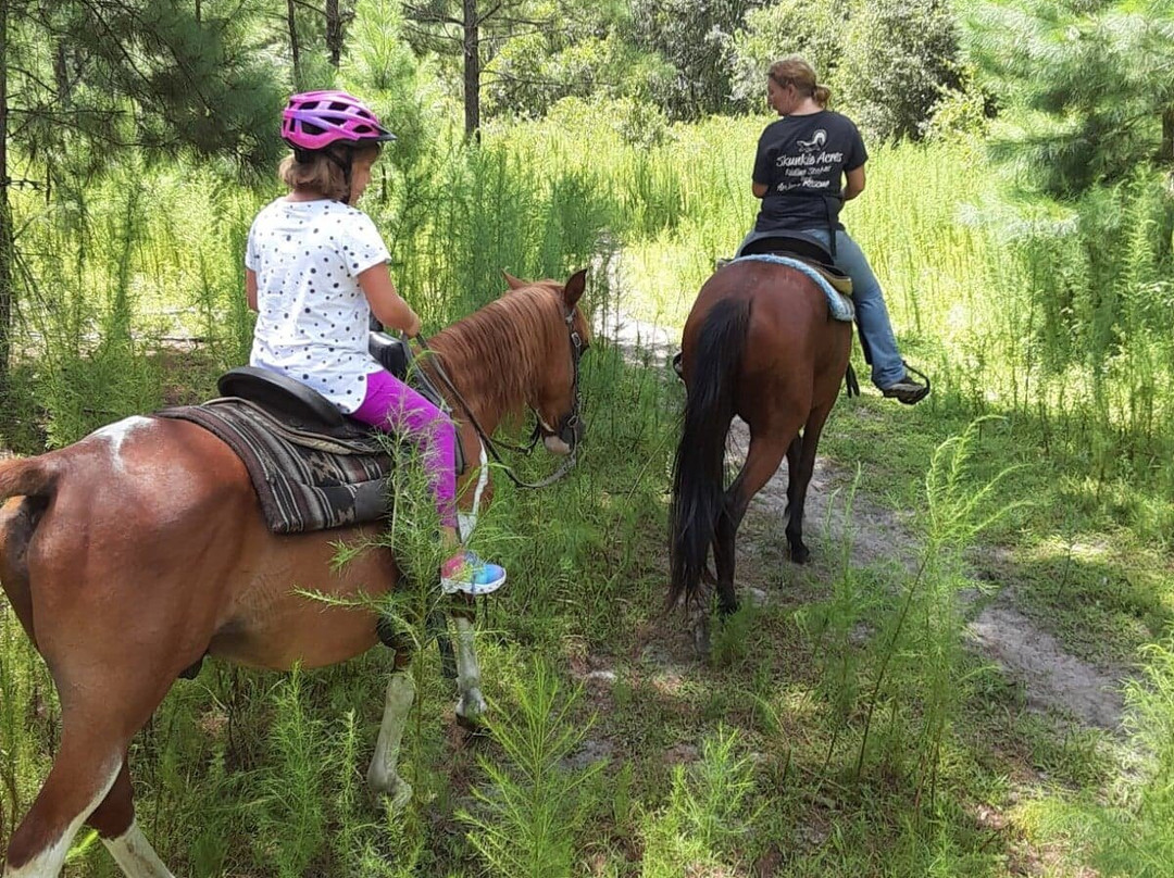 Skunkie Acres, Inc'-Citra必去景点