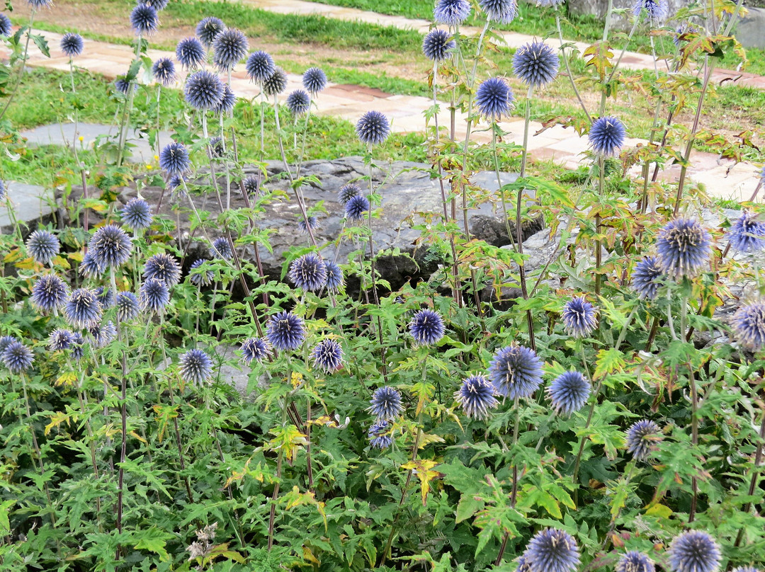 Le Moule a Sucre-Saint Jean Port Joli必去景点