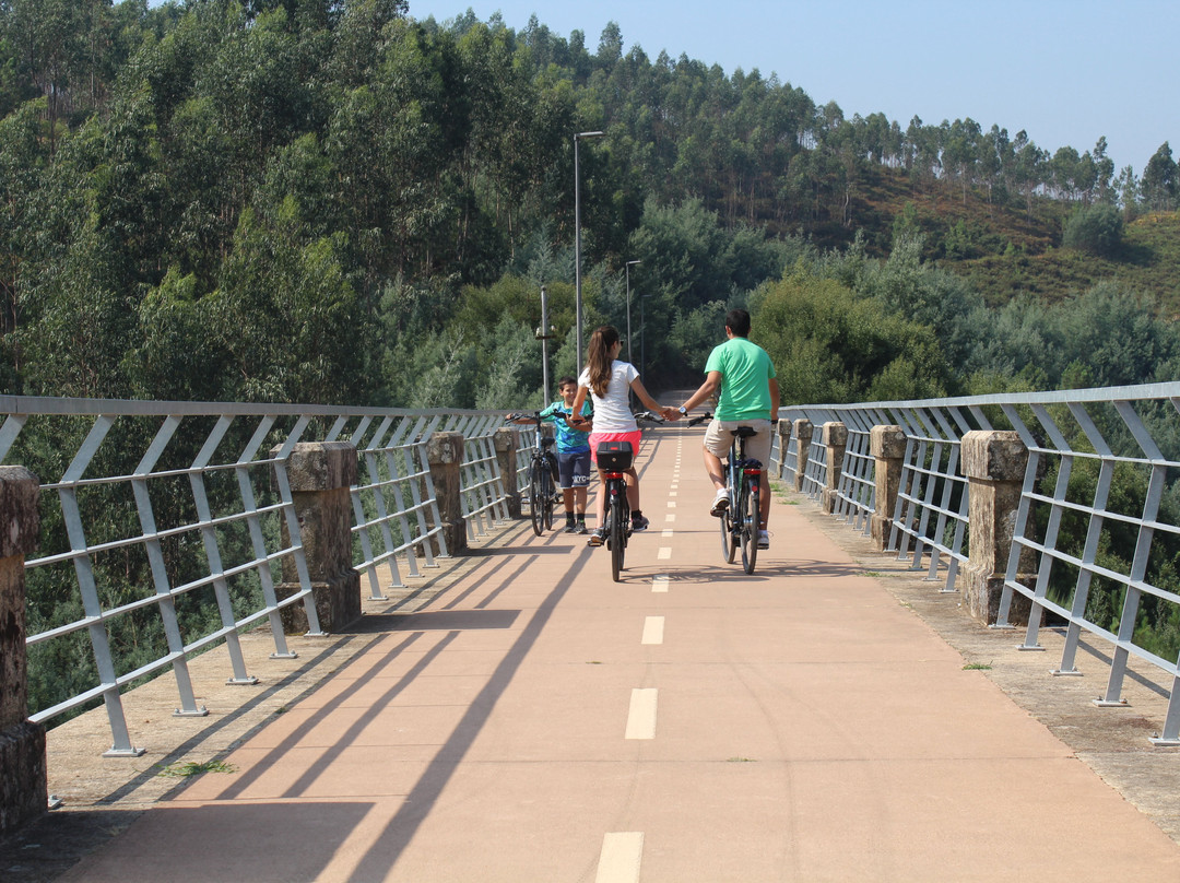 e-Velo - e-Bike Rentals景点图片