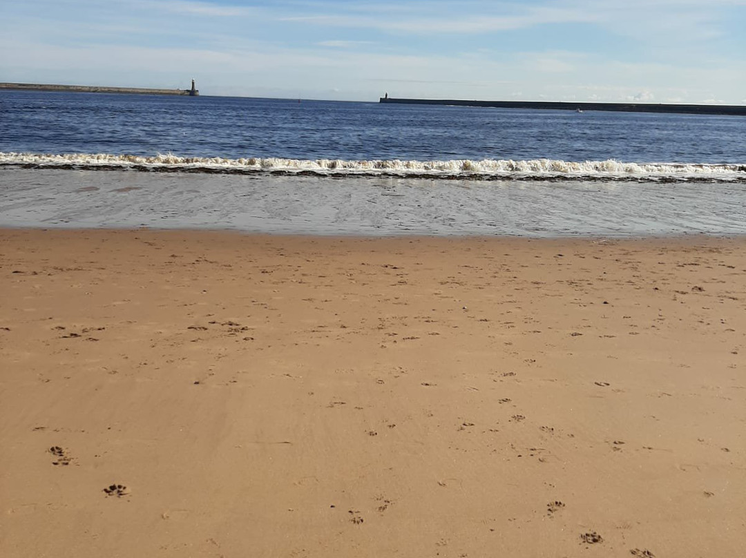 Rosebank Guest House主图