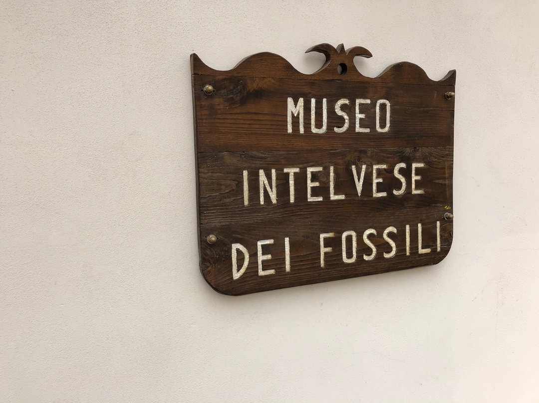 Museo Intelvese Dei Fossili景点图片
