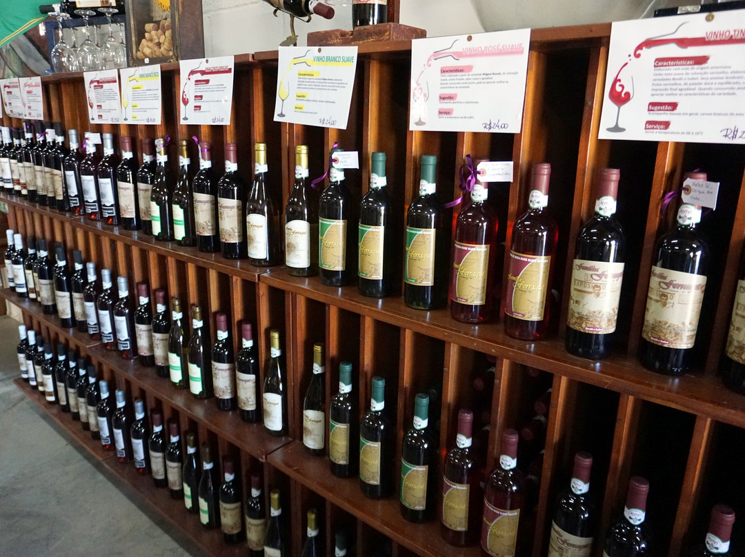 Adega Familia Ferragut-维涅杜必去景点