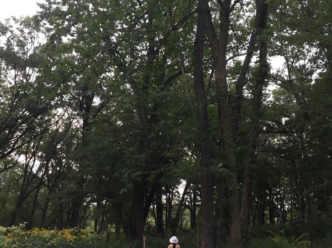 Oldfield Oaks Preserve-Darien必去景点