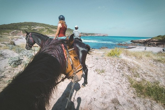 Xperience by Horse-米诺卡必去景点