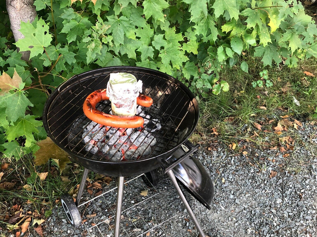 Carroll Motel & Cottages主图