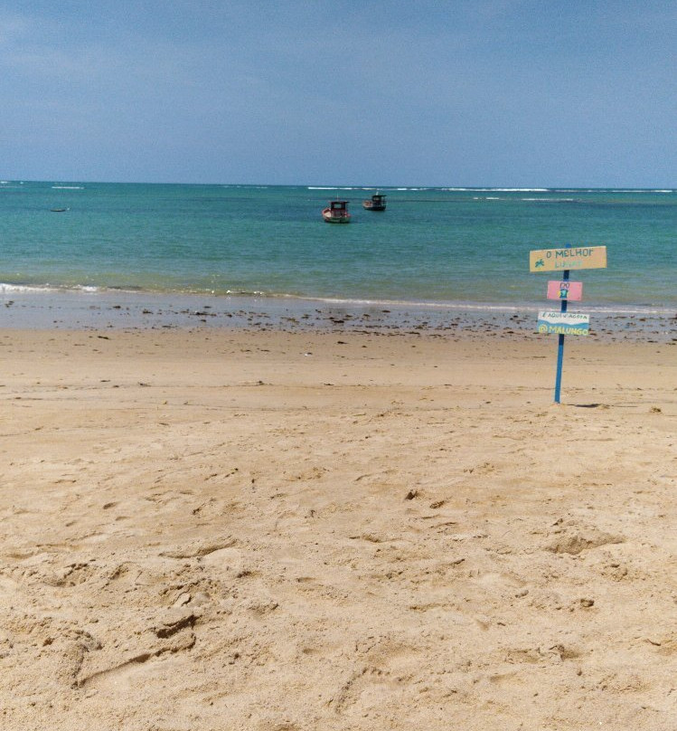 Praia de Tamandare景点图片