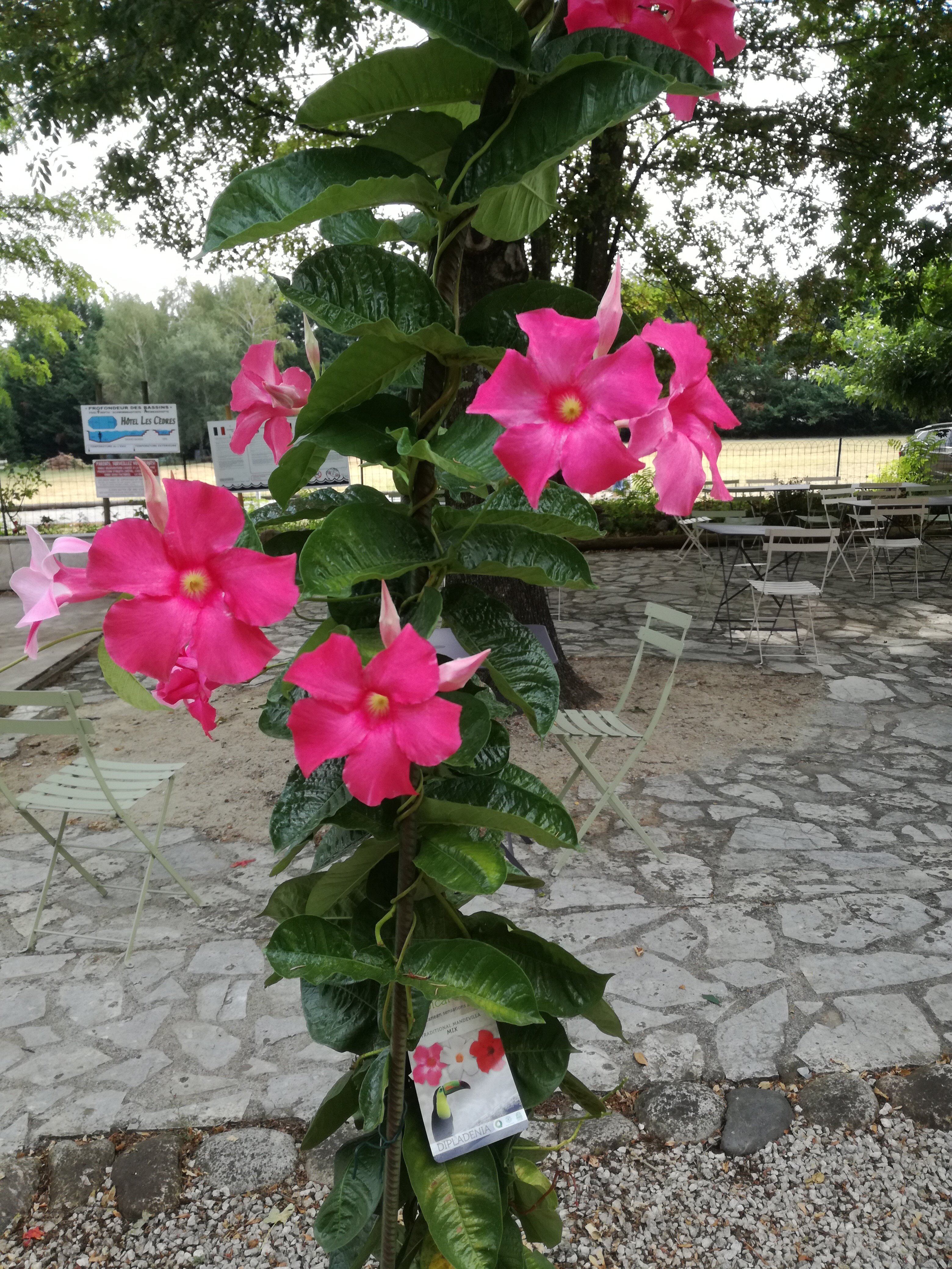 Logis Hôtel les Cèdres-浴室