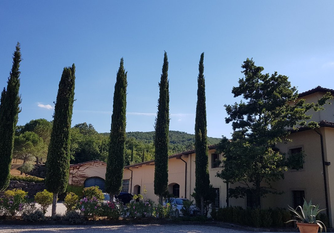 Castiglion del Bosco Winery景点图片