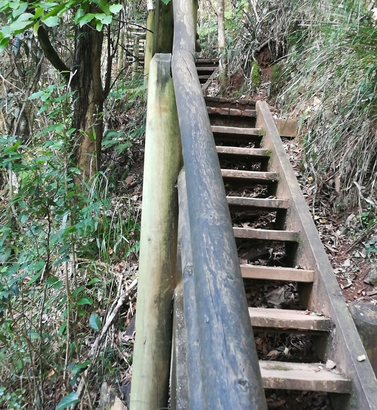 Ellenborough Falls Kiosk-Elands必去景点
