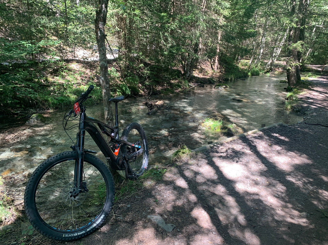 eBike Chamonix-霞慕尼必去景点