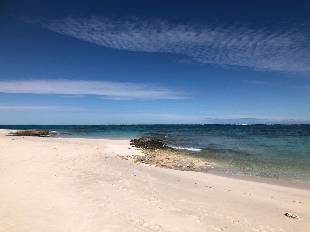 Ningaloo Marine Park-珊瑚湾必去景点