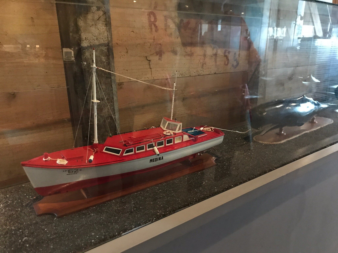 Museu dos Baleeiros (Whaler’s Museum)-Lajes do Pico必去景点