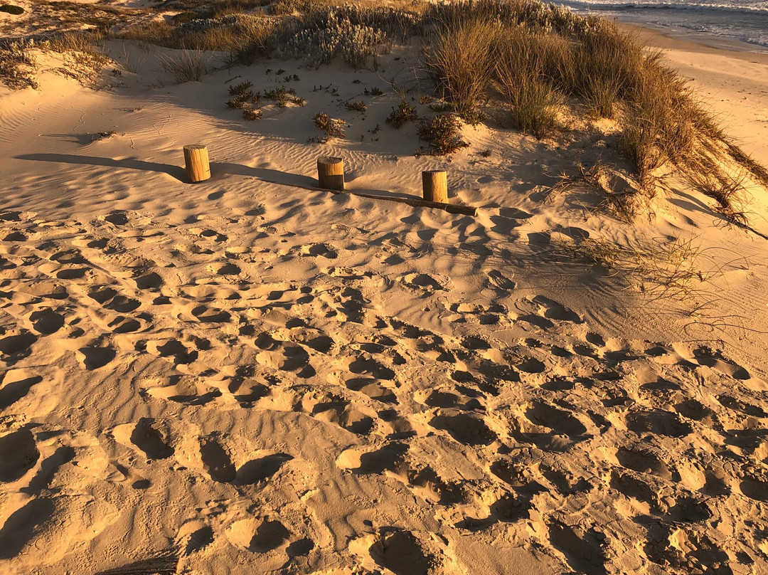 Draaihoek Lodge & Restaurant主图