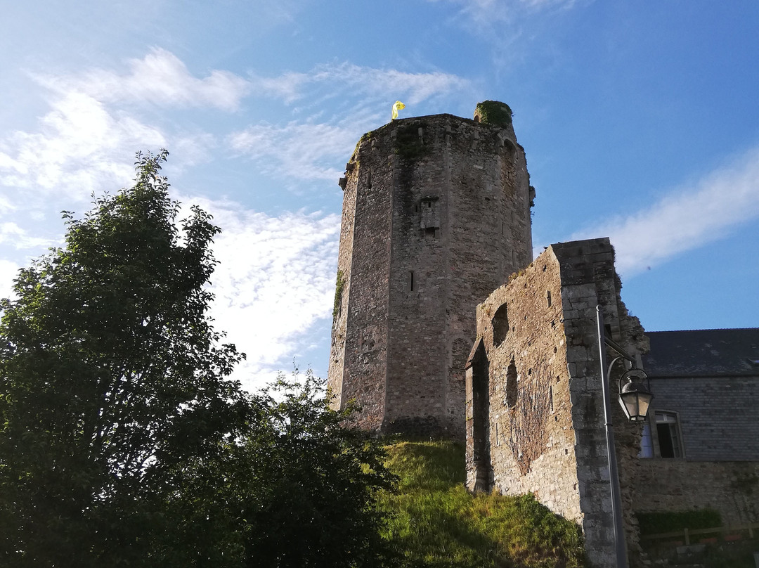 Chateau de Bricquebec景点图片