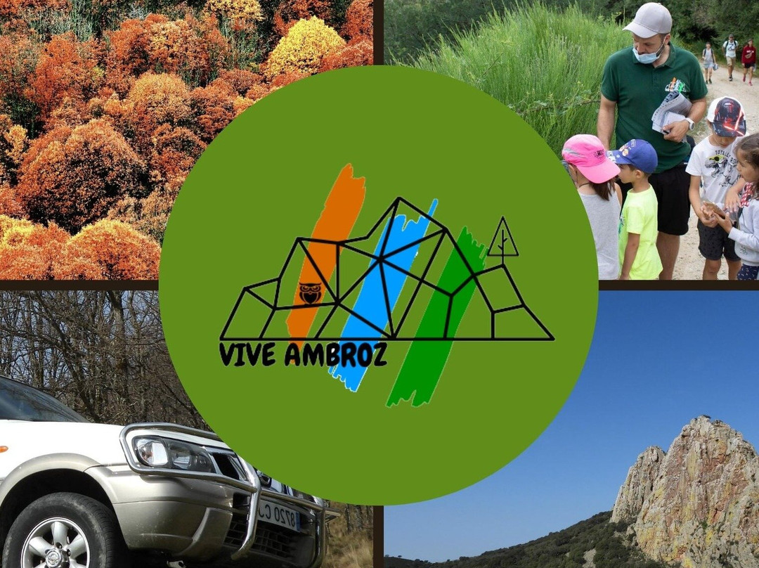 Vive Ambroz景点图片