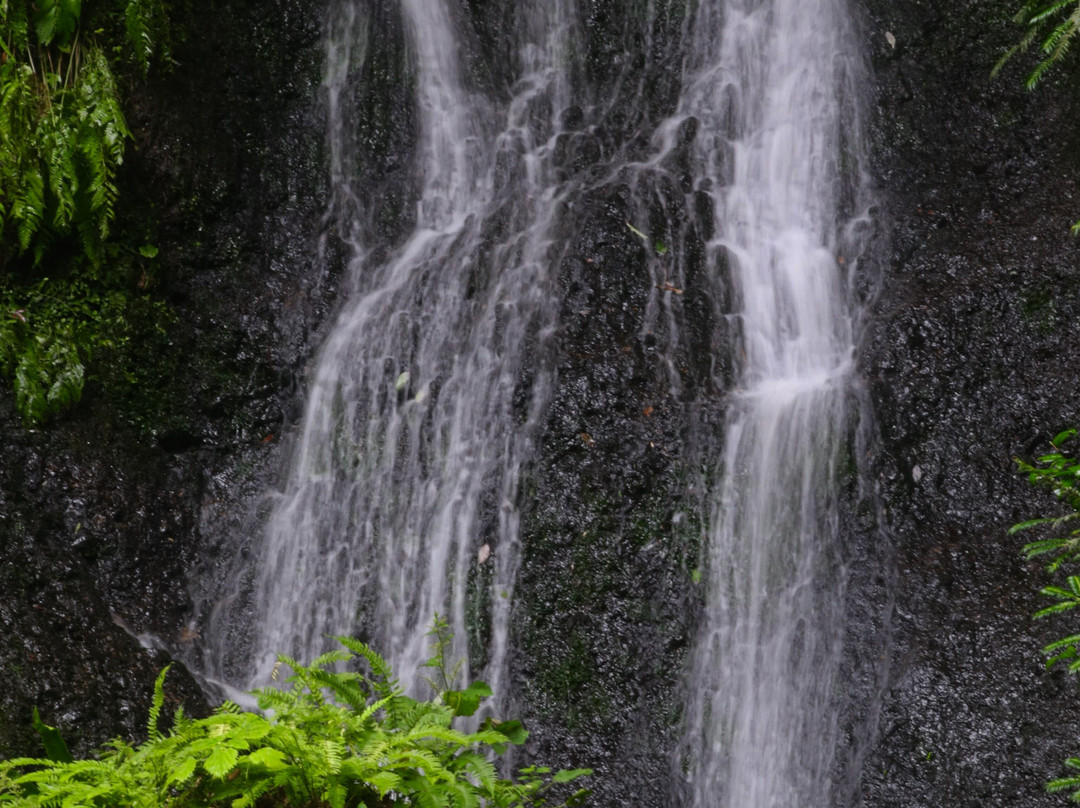 Shiratama Falls-新泻市必去景点