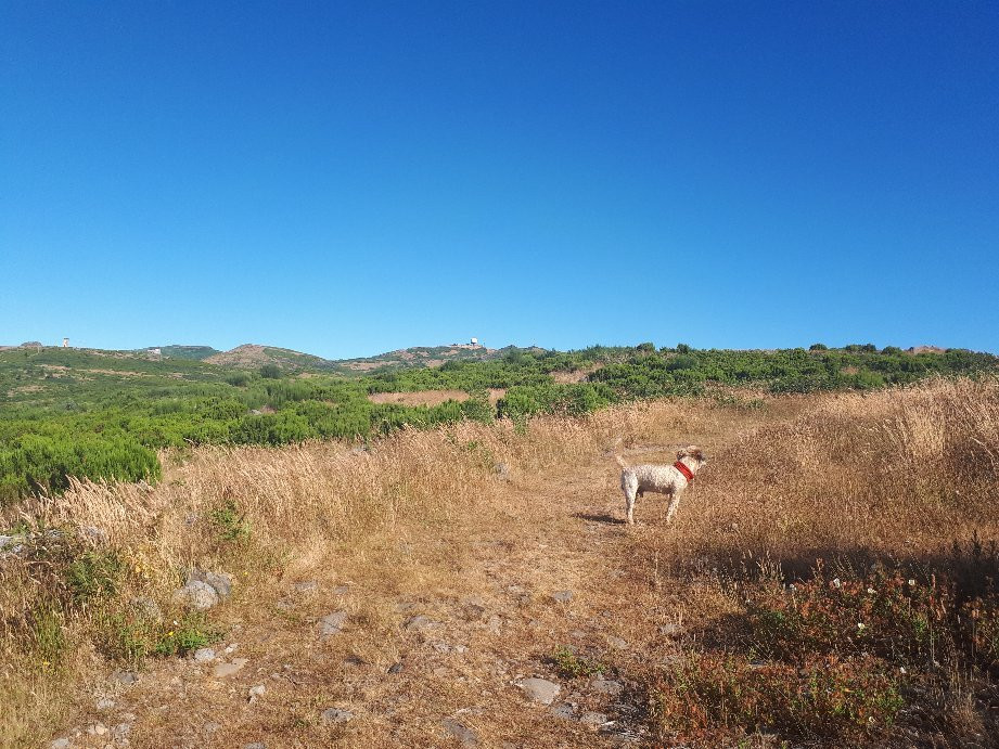 Madeira Wandern mit Christa-Canico必去景点
