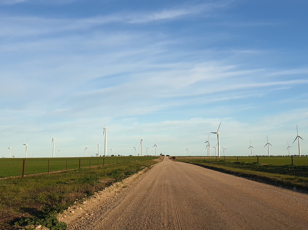 Wattle Point Wind Farm-Edithburgh必去景点