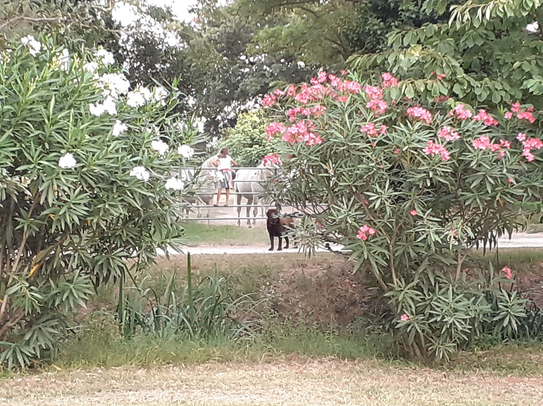 Mas Saint-Germain主图