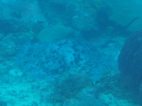 Aqua Nomad-哈夫洛克岛必去景点