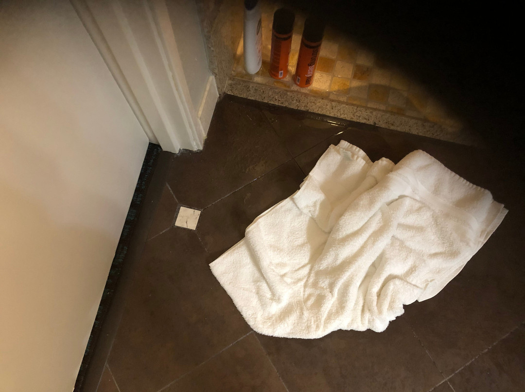 Best Western Plus Georgetown Inn & Suites主图