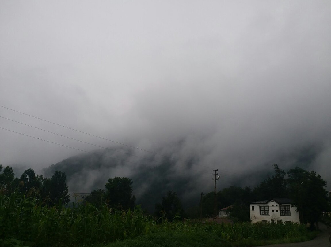 Kadiralak Yaylasi景点图片